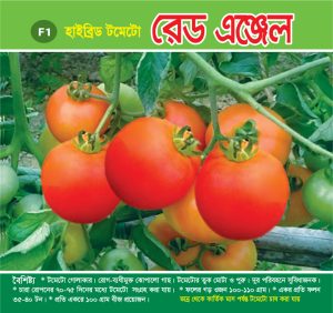 হাইব্রিড টমেটো - রেড এঞ্জেল
