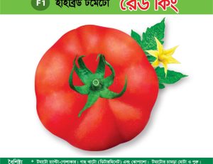 হাইব্রিড টমেটো - রেড কিং