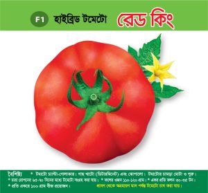 হাইব্রিড টমেটো - রেড কিং