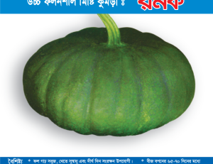 উচ্চ ফলনশীল মিষ্টি কুমড়া - রনক