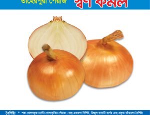 তাহেরপুরী পেঁয়াজ - স্বর্ণ কমল