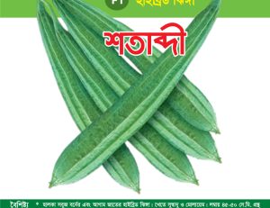 হাইব্রিড ঝিঙ্গা - শতাব্দী