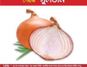 পেঁয়াজ - সুলতান