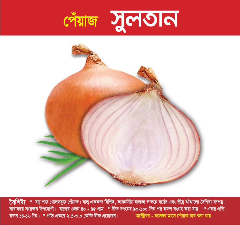 পেঁয়াজ - সুলতান