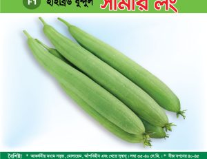 হাইব্রিড ধুন্দুল - সামার লং