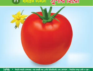 হাইব্রিড টমেটো - সুপার হিরো