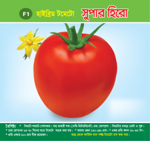 হাইব্রিড টমেটো - সুপার হিরো