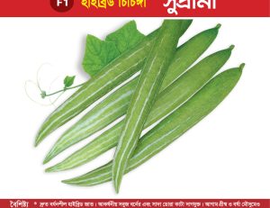 হাইব্রিড চিচিঙ্গা - সুপ্রীমা