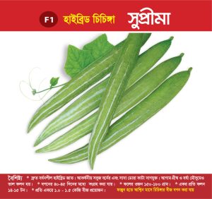 হাইব্রিড চিচিঙ্গা - সুপ্রীমা
