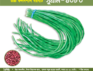 উচ্চ ফলনশীল বরবটি - সুপ্রীম-১০৮০