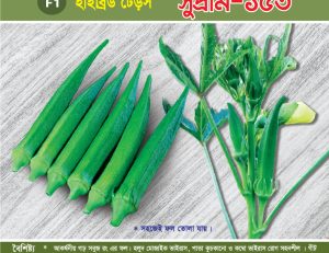 হাইব্রিড ঢেঁড়স - সুপ্রীম-১৫৩