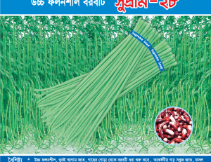 উচ্চ ফলনশীল বরবটি - সুপ্রীম-২৮