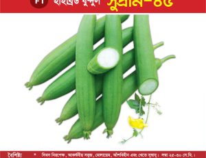 হাইব্রিড ধুন্দুল - সুপ্রীম-৪৫