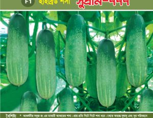 হাইব্রিড শসা - সুপ্রীম-৭৭৭