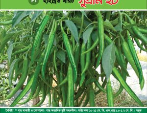 হাইব্রিড মরিচ - সুপ্রীম হট