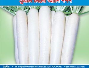 মুলা - সুপ্রীম মিনো আর্লি ৭৭৭