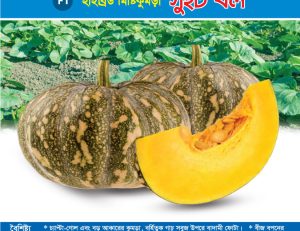 হাইব্রিড মিষ্টিকুমড়া - সুইট বল
