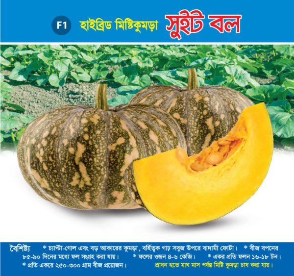 হাইব্রিড মিষ্টিকুমড়া - সুইট বল