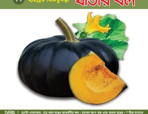 হাইব্রিড মিষ্টিকুমড়া - থান্ডার বল