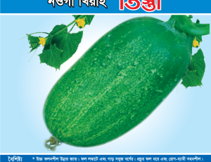 নওগাঁ খিরাই - তিস্তা
