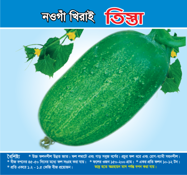 নওগাঁ খিরাই - তিস্তা