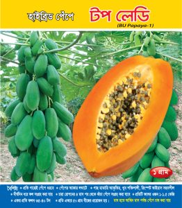 হাইব্রিড পেঁপে - টপ লেডি