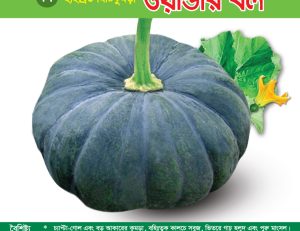 হাইব্রিড মিষ্টিকুমড়া - ওয়ান্ডার বল