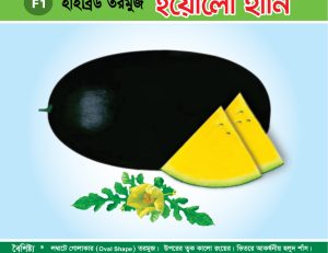 হাইব্রিড তরমুজ - ইয়োলো হানি